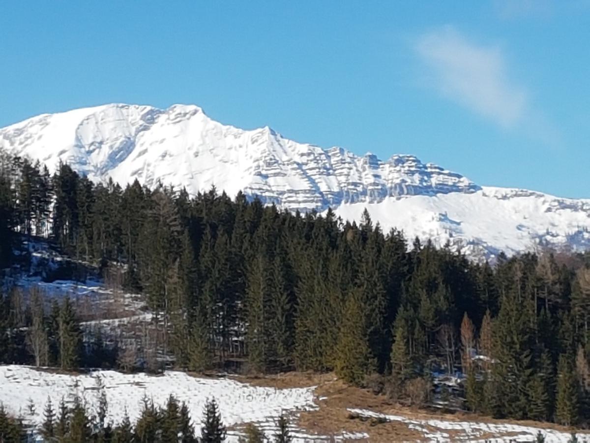 Berliner Ecke Ξενοδοχείο Mariazell Εξωτερικό φωτογραφία
